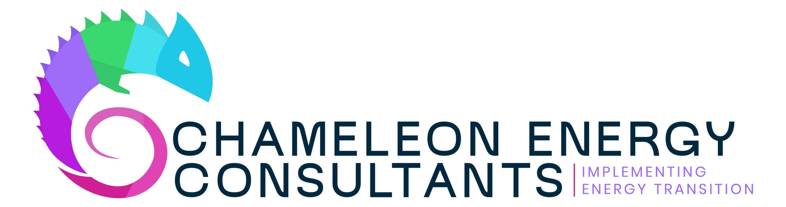 Chameleon Energy Consultants Logo
